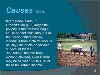 Causes (con)
International Labour
Organization (ILO) suggests
poverty is the greatest single
cause behind child labour. For
the householders whose,
income is from a child's work is
usually Fail for his or her own
survival or for the
household. Income from
working children, even if small,
may be between 25 to 40% of
these household income.
 