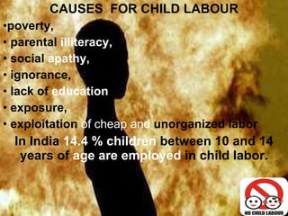 CAUSES  FOR CHILD LABOUR poverty,  parental  illiteracy, social  apathy,  ignorance,  lack of  education  exposure,  exploitation  of cheap and  unorganized labor In India  14.4 % children  between 10 and 14 years of  age are employed  in child labor. 