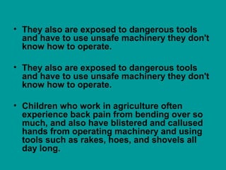 • They also are exposed to dangerous tools
and have to use unsafe machinery they don't
know how to operate.
• They also are exposed to dangerous tools
and have to use unsafe machinery they don't
know how to operate.
• Children who work in agriculture often
experience back pain from bending over so
much, and also have blistered and callused
hands from operating machinery and using
tools such as rakes, hoes, and shovels all
day long.
 