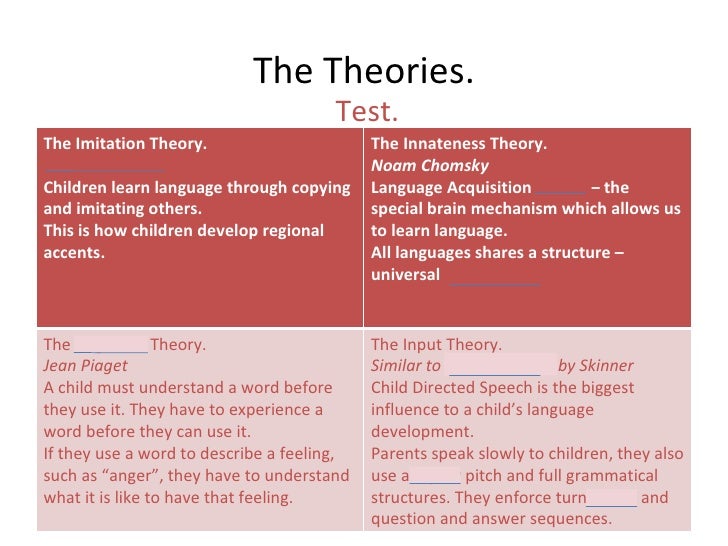 Children language acquisition essay