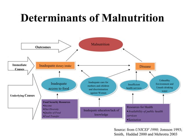 Child Malnutrition in India | PPT | Children\'s Health | Healthy Living