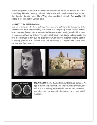 The investigators concluded the mastermind behind Genie’s abuse was his father,
Clark Wiley. His wife Dorothy claimed, she too was a victim of a violent psychopath.
Shortly after the discovery, Clark Wiley shot and killed himself. The suicide only
added more interest in Genie’s case.
SENSITIVITY TO TEMPERATURE
Like other children who have suffered from extreme isolation, Genie seemed to be
disconnected from certain bodily sensations. Her temporary foster parents noticed
when she was allowed to run her own bathwater, it was ice cold, which didn’t seem
to make any difference to her. The scientists theorize sensitivity to temperature is
very much influenced by our life experiences, Genie never experienced the warmth
of loving parents. It’s possible that our sensitivity to temperature come from
nurture, not from nature.
BRAIN SCANS Genie had extreme intellectual deficits. At
age thirteen, she couldn't talk, she could barely walk, she
was prone to self-injury whenever she became distressed,
and she had no control whatsoever over her bodily
functions.
 