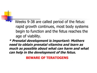 Child Psychology Presentation2