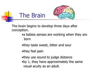 Child Psychology Presentation2