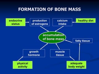 FORMATION OF BONE MASS
accumulation
of bone mass
endocrine
status
production
of estrogens
calcium
intake
healthy diet
growth
hormone
physical
activity
muscle
tissue
fatty tissue
adequate
body weight
 