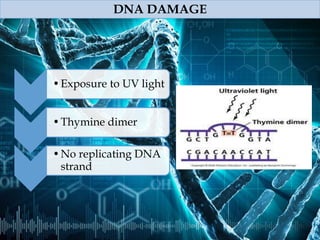 Children of the dark- XERODERMA PIGMENTOSUM | PPTX