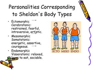 Personalities Corresponding to Sheldon's Body Types Ectomorphic Cerebrotonic: restrained, fearful, introversive, artistic.  Mesomorphic  Somatotonic: energetic, assertive, courageous. Endomorphic  Visoerotonic: relaxed, loves to eat, sociable. 