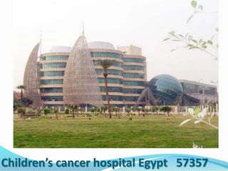 Children’s cancer hospital Egypt 57357
 