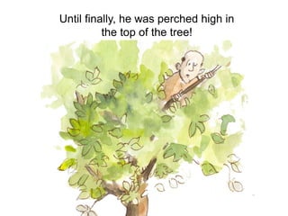 Until finally, he was perched high in
the top of the tree!
 