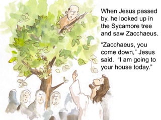 When Jesus passed
by, he looked up in
the Sycamore tree
and saw Zacchaeus.
“Zacchaeus, you
come down,” Jesus
said. “I am going to
your house today.”
 