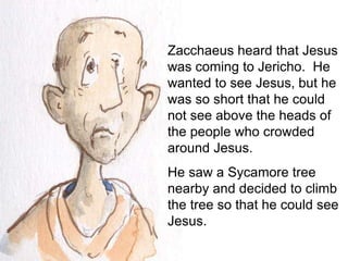 Zacchaeus heard that Jesus
was coming to Jericho. He
wanted to see Jesus, but he
was so short that he could
not see above the heads of
the people who crowded
around Jesus.
He saw a Sycamore tree
nearby and decided to climb
the tree so that he could see
Jesus.
 