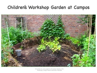 Children’s Workshop Garden at Campos

All photos by and property of Carolyn Zezima, NYC
Foodscape, except where otherwise indicated

 