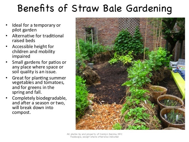 How To Use Straw Bales To Create A Diverse Safe And Fertile Raised G