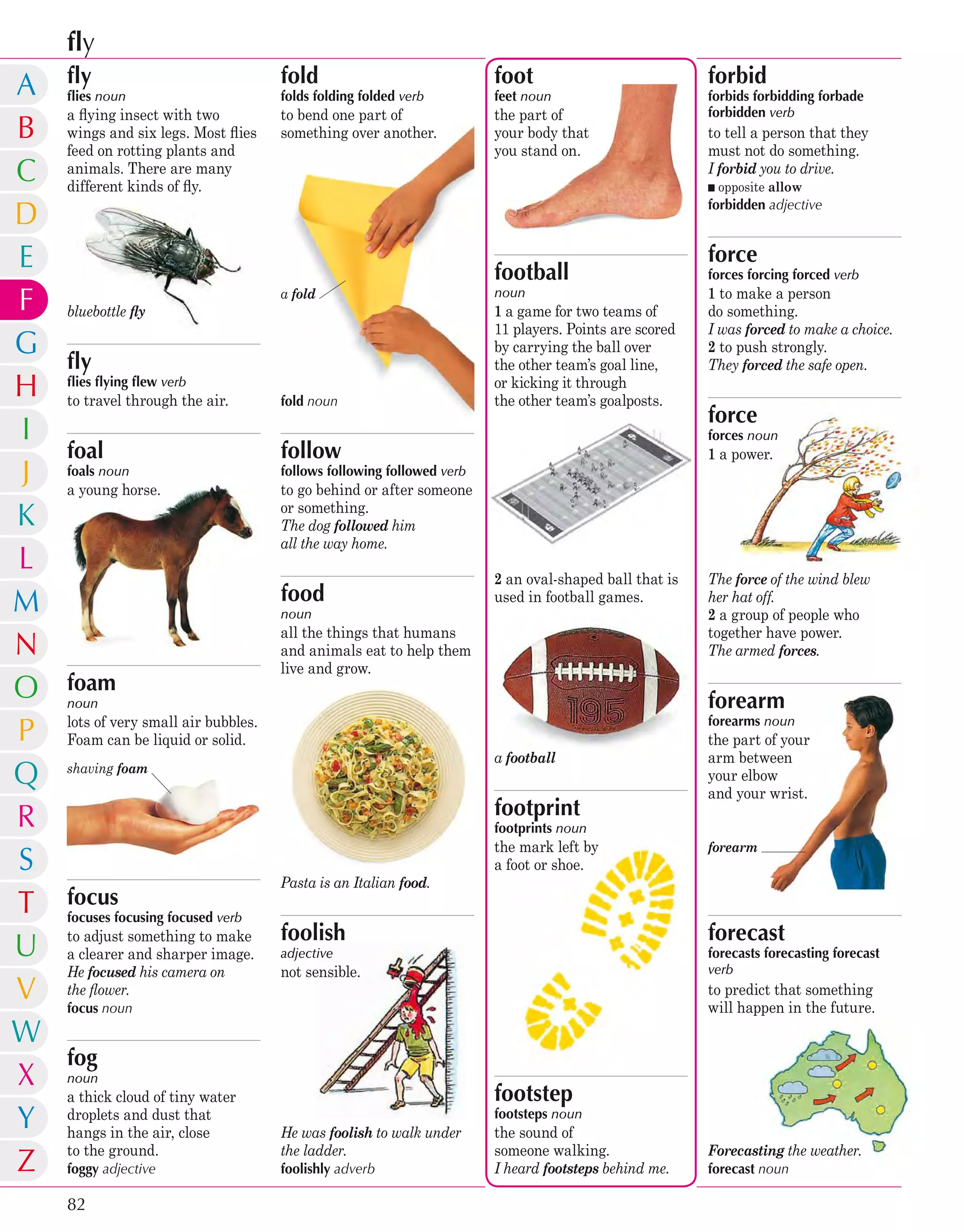 Children's Illustrated Dictionary | PDF