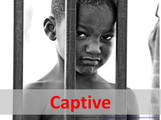 This image is used under a CC license from: http://www.flickr.com/photos/shavar/30387959/sizes/l/in/photostream/
Captive
 