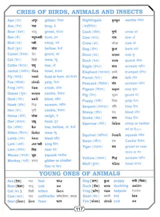 CRIES OF BIRDS, ANIMALS AND INSECTS  
Ape (Tjq) ePJ* gibber, Rh«r 
Ass (^ft) w bray, t 
Bear (%5R) growl, iJMd 
Bee (ft) "R^RcRfr hum, i r 
Bird TTlft chirp, 
Bull (fci) Tfrs bellow, teft 
Camel (%rh) grunt, Tfe 
Cat mew, ^ 
Cattle ( t o ) TRJ low, eft 
Jackal ("wTcpToi) 'Tk-s! howl, £In4><H 
Fly (ifcHisO R<Nsh buzz or hum, ens^friR 
Fox (r?Tcrt) eftR^t yelp, ^tcR 
Frog (TPtT) iideb croak, tfito 
Goose (^Jp?) chd^ cackle, ^bcbcH 
Goat (ife) elch^ bleat, ^ te 
Hawk (ffe) scream, 
Hen (^r) cackle, 
Horse (^Rt) tfrsr neigh, 3 
Owl (arre^O ^ hoot, 
Ox (arfrrr) tc! low, bellow, cit, teft 
Kitten ( t t o ) foeftdT mew ^ 
Lamb (eta) ^RHI bleat ^ fe 
Lark (etr^) cTcTT "R^t sing fttR 
Lion (cTRR) •RT? roar tR 
Mouse ("RFTH) w squeak <w><5tcb 
Monkey ("Reft) gibber or chatter 
Nightingale 
(Hispid) 
Cock (c^icp) 
Cow (Wv3) 
Crow (sPt) 
Dog(^TR) 
Dove ( ^ f) 
Duck Ostp) 
Eagle (^Ref) 
Elephant (TJHJP^) 
Parrot 
Peacock (^^W) 
Pigeon 
Pig ( f i r) 
Puppy (tptft) 
Serpent ( W F T S ) 
Sheep (Vta) 
Snake 
Sparrow 
|cifei warble 
yrf 
^rra 
f rn 
WW 
cTOT 
"Erra 
tfRTT 
tfrc 
W ^ T R 
TRR 
mm 
Squirrel (*SPW<H) RIH*^ 
Swan ("*3h) 
Tiger (dT^K) ?R 
Vulture (<JCTER) Pr^ 
Wolf (p«p) item 
crow sPt 
low eft 
caw 
bark 
coo ^ 
quack c j^ 
scream ^a?fR 
trumpet ^f&re 
talk dte 
scream 
coo ^ 
grunt 
yelp 3CR 
hiss ^ 
bleat 
hiss f^e 
chirp or twitter 
^ 7T f^cic;* 
squeak 
Cackle 
growl or roar 
yivici 'JIT 
scream "raStR 
howl fFJcl 
YOUNG ONES OF ANIMALS 
Ass ("^r) 
Bear(tare) 
Cat ) 
Cow(^rrg) 
Deer (-feTR) •ft^m 
foal wtcf 
cub cFk( 
kitten foeR 
calf/heifer 
fawn R>tR 
Dog ("str) f rn puppy •R^t ("ft^l) 
Duck (Ifcp) eM<£l duckling -dchfclR 
Frog (p>hT) »tdch tadpole 
Goat(Tfm) kid fcfrg 
FOX (TftcRT) cflRit cub cfKf 
<11 Z> 
 