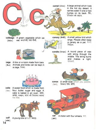 canary (tfafl) 
car a motor with four wheels. 
(cRR) 
cage A box or a room made from bars. 
(%ut) Animals and birds can be kept in 
a cage. fq^TCT. 
camel (3>*r?f) A large animal which lives 
in the hot dry desert. It 
carries water in one or two 
humps on its back. Ife; 
^PlWH =FT ^tftst. 
cabbage A green vegetable which 
(fofca) eat. ^ M ; WT t M . 
we 
cake A sweet food which is made from 
flour, butter, sugar and eggs. A 
cake is baked in an oven. 37IZI, 
3TCT3T, W I , ofit rHdlch< ^FTFTT 
calf 
(tPTO) 
14 
canoe 
A young cow or . WfT. 
A small yellow bird which 
sings. People often keep 
a canary as a pet. 
faf^l. 
candle (%^§ct) A round piece of wax 
with string through the 
middle. The string burns 
and makes a light. 
A small boat 
fel+KI ^ft. 
 