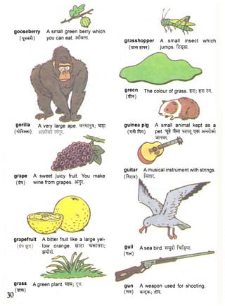 gooseberry A small green berry which 
(Tpplft) you can eat. sfi^fT. grasshopper 
(TTprr"?m) 
A small insect which 
jumps. Pd-^si. 
green 
(to) 
The colour of grass. FTT; ITT TT. 
gorilla 
('ftRedl) 
A very large ape. WTTJ^; "SflT 
grape A sweet juicy fruit. You make 
(tq) wine from grapes. 3PJT. 
grapefruit 
30 
grass a green plant. WT; 
(tirt) 
guitar A musical instrument with strings. 
(flrcrc). tec. 
gull a sea bird. TT^M^TT. 
(•ner) 
gun A weapon used for shooting. 
(TFT) cTR 
A bitter fruit like a large yel-low 
orange. WtZT -<=i =hld<i; 
^ T t . 
guinea pig 
(Tpft •RTT) 
A small animal kept as a 
pet. ^ %TT W f ^ t w s f tM 
^tfftc. 
 
