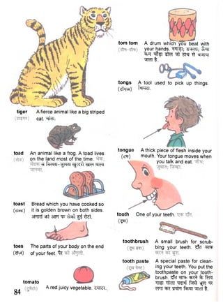 tiger A fierce animal like a big striped 
cat. ^rfal. 
toad An animal like a frog. A toad lives 
on the land most of the time. 
TT fiTerm-^RTr Tfretf wn 
toast Bread which you have cooked so 
(•efts) it is golden brown on both sides. 
SFTRf cfct 3TFT ipr ^ tzt. 
toes The parts of your body on the end 
("styi) of your feet. % 
torn torn A drum which you beat with 
your hands. ^FTT^T; 1 W ; ^ T 
^vCf •^fer ^ WWII 
W I t . ' 
tongs A tool used to pick up things. 
(^TvH) t w i. 
tooth 
(5*0 
One of your teeth. 
toothbrush A small brush for scrub-bing 
your teeth. ^fcT M 
A special paste for clean-ing 
your teeth. You put the 
toothpaste on your tooth-brush. 
^fcT WTi " ^ f % f^Pt 
W "nt^fT ^ s f t ^ s^T "qr 
WTT ^ TRtn f^TT ^TIcTT t . 
tongue 
(cPl) 
A thick piece of flesh inside your 
mouth. Your tongue moves when 
you talk and eat. 
tooth paste 
tomato 
84 
A red juicy vegetable. ZWI. 
 