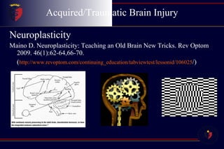 Acquired/Traumatic Brain Injury Neuroplasticity Maino D. Neuroplasticity: Teaching an Old Brain New Tricks. Rev Optom 2009. 46(1):62-64,66-70.  ( http://www.revoptom.com/continuing_education/tabviewtest/lessonid/106025 /) 