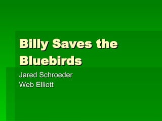 Billy Saves the Bluebirds Jared Schroeder Web Elliott 