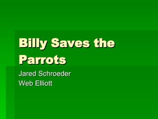Billy Saves the Parrots Jared Schroeder Web Elliott 