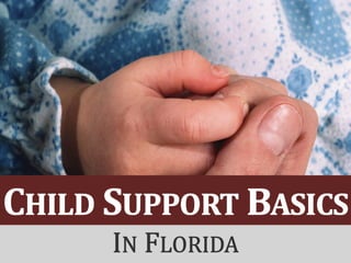Child Support Basics in Florida