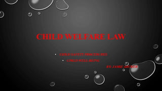 CHILD WELFARE LAW
• CHILD SAFETY PROCEDURES
• CHILD WELL-BEING
BY: JAMIE ARCHER
 
