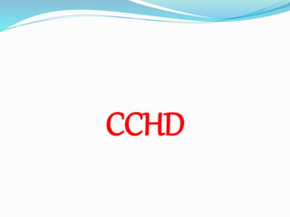 CCHD 
 