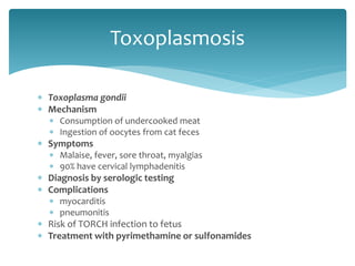  Toxoplasma gondii
 Mechanism
 Consumption of undercooked meat
 Ingestion of oocytes from cat feces
 Symptoms
 Malaise, fever, sore throat, myalgias
 90% have cervical lymphadenitis
 Diagnosis by serologic testing
 Complications
 myocarditis
 pneumonitis
 Risk of TORCH infection to fetus
 Treatment with pyrimethamine or sulfonamides
Toxoplasmosis
 