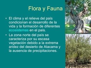 Flora y Fauna El clima y el relieve del país condicionan el desarrollo de la vida y la formación de diferentes  ecosistemas  en el país. La zona norte del país se caracteriza por su escasa vegetación debido a la extrema aridez del desierto de Atacama y la ausencia de precipitaciones.  