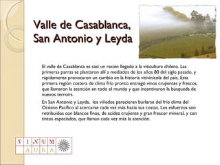 Valle de Casablanca, San Antonio y Leyda El valle de Casablanca es casi un recién llegado a la viticultura chilena. Las primeras parras se plantaron allí a mediados de los años 80 del siglo pasado, y rápidamente provocaron un cambio en la historia vitivinícola del país. Esta primera región costera de clima frío pronto entregó vinos crujientes y frescos, que llamaron la atención en todo el mundo y que incentivaron la búsqueda de nuevos terroirs. En San Antonio y Leyda,  los viñedos parecieran burlarse del frío clima del Océano Pacífico al acercarse cada vez más hacia sus costas. Los esfuerzos son retribuidos con blancos finos, de acidez crujiente y gran frescor mineral, y con tintos especiados, que llaman cada vez más la atención. 