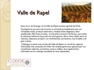 Valle de Rapel Justo al sur de Santiago, en el Valle de Rapel corazón agrícola de Chile.  Cachapoal, la que está más al norte, es conocida principalmente por sus variedades tintas, produce cabernets y mezclas tintas elegantes y bien equilibradas. Más hacia el oeste,  se encuentra el sector de Peumo, que recibe la suficiente influencia fresca del mar para generar allí un clima cálido, pero no caluroso, ideal para producir sus renombrados carménères, muy frutales y de gran cuerpo.   Colchagua, la parte más sureña del Valle de Rapel, es una de las regiones vitivinícolas más conocidas de Chile. Ha recibido generosos aplausos por sus corpulentos cabernet, carmenère, syrah y malbec, que regularmente sobresalen en los rankings mundiales de vinos destacados.  