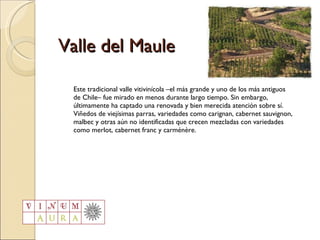 Valle del Maule Este tradicional valle vitivinícola –el más grande y uno de los más antiguos de Chile– fue mirado en menos durante largo tiempo. Sin embargo, últimamente ha captado una renovada y bien merecida atención sobre sí. Viñedos de viejísimas parras, variedades como carignan, cabernet sauvignon, malbec y otras aún no identificadas que crecen mezcladas con variedades como merlot, cabernet franc y carménère. 