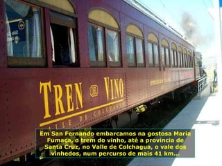 Em San Fernando embarcamos na gostosa Maria Fumaça, o trem do vinho, até a província de Santa Cruz, no Valle de Colchagua, o vale dos vinhedos, num percurso de mais 41 km... 