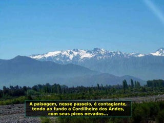 A paisagem, nesse passeio, é contagiante, tendo ao fundo a Cordilheira dos Andes, com seus picos nevados... 