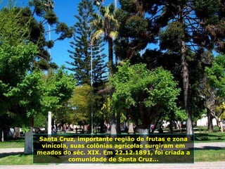 Santa Cruz, importante região de frutas e zona vinícola, suas colônias agrícolas surgiram em meados do séc. XIX. Em 22.12.1891, foi criada a comunidade de Santa Cruz... 