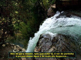 Não dá para resistir, tem que subir lá, e ver de pertinho a pureza dessa água e de onde ela despenca... 
