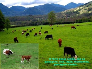 O forte dessa região, são as paisagens, rios, lagos, montanhas, pastagens verdes...  