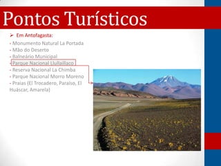 Pontos Turísticos
 Em Antofagasta:
- Monumento Natural La Portada
- Mão do Deserto
- Balneário Municipal
- Parque Nacional Llullaillaco
- Reserva Nacional La Chimba
- Parque Nacional Morro Moreno
- Praias (El Trocadero, Paraíso, El
Huáscar, Amarela)
 