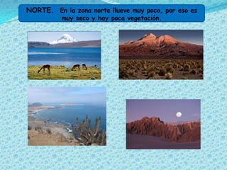 NORTE. En la zona norte llueve muy poco, por eso es
          muy seco y hay poca vegetación.
 