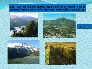 CENTRO. En la zona central hace calor en el verano y en el
invierno llueve y hace frío. Hay más vegetación y animalitos.




                                                       QUILLOTA
 