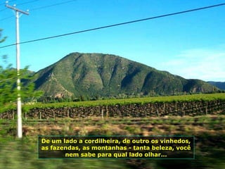 De um lado a cordilheira, de outro os vinhedos,
as fazendas, as montanhas - tanta beleza, você
nem sabe para qual lado olhar...
 