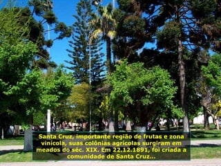 Santa Cruz, importante região de frutas e zona
vinícola, suas colônias agrícolas surgiram em
meados do séc. XIX. Em 22.12.1891, foi criada a
comunidade de Santa Cruz...
 