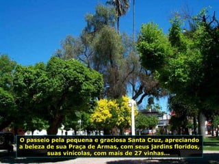 O passeio pela pequena e graciosa Santa Cruz, apreciando
a beleza de sua Praça de Armas, com seus jardins floridos,
suas vinícolas, com mais de 27 vinhas...
O passeio pela pequena e graciosa Santa Cruz, apreciando
a beleza de sua Praça de Armas, com seus jardins floridos,
suas vinícolas, com mais de 27 vinhas...
 