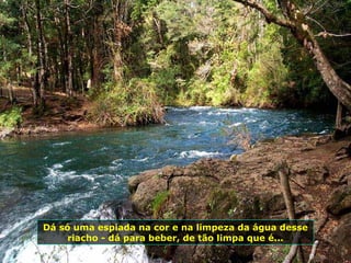 Dá só uma espiada na cor e na limpeza da água desse
riacho - dá para beber, de tão limpa que é...
 