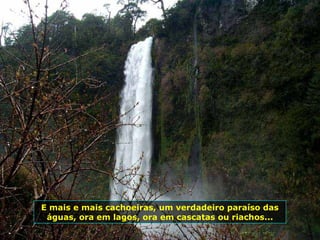 E mais e mais cachoeiras, um verdadeiro paraíso das
águas, ora em lagos, ora em cascatas ou riachos...
 
