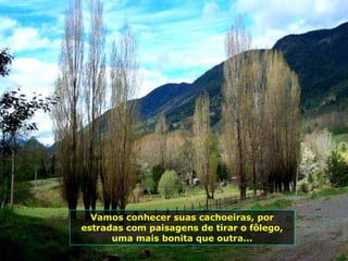 Vamos conhecer suas cachoeiras, por
estradas com paisagens de tirar o fôlego,
uma mais bonita que outra...
 