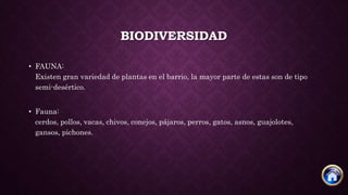 BIODIVERSIDAD
• FAUNA:
Existen gran variedad de plantas en el barrio, la mayor parte de estas son de tipo
semi-desértico.
• Fauna:
cerdos, pollos, vacas, chivos, conejos, pájaros, perros, gatos, asnos, guajolotes,
gansos, pichones.
 