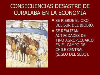 CONSECUENCIAS DESASTRE DE CURALABA EN LA ECONOMÍA SE PIERDE EL ORO DEL SUR DEL BIOBÍO. SE REALIZAN ACTIVIDADES DE TIPO AGROPECUARIO EN EL CAMPO DE CHILE CENTRAL (SIGLO DEL SEBO). 